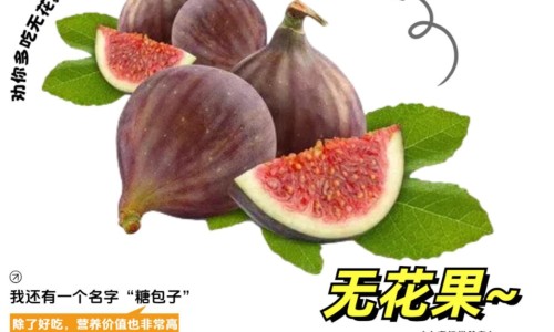 洗肝散的神奇功效-洗肝散的功效网- 洗肝散出处知识,分享洗肝散的功效与主治