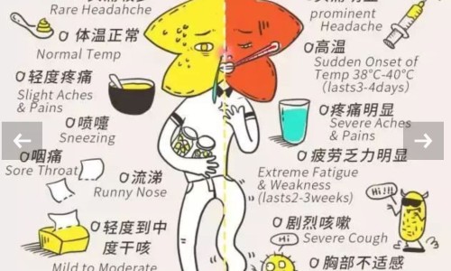 洗肝散的功效网- 洗肝散出处知识,分享洗肝散的功效与主治